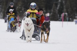 Lenzerheide 2013